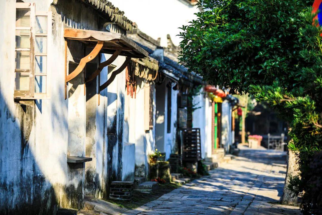 桃花侠守卫战